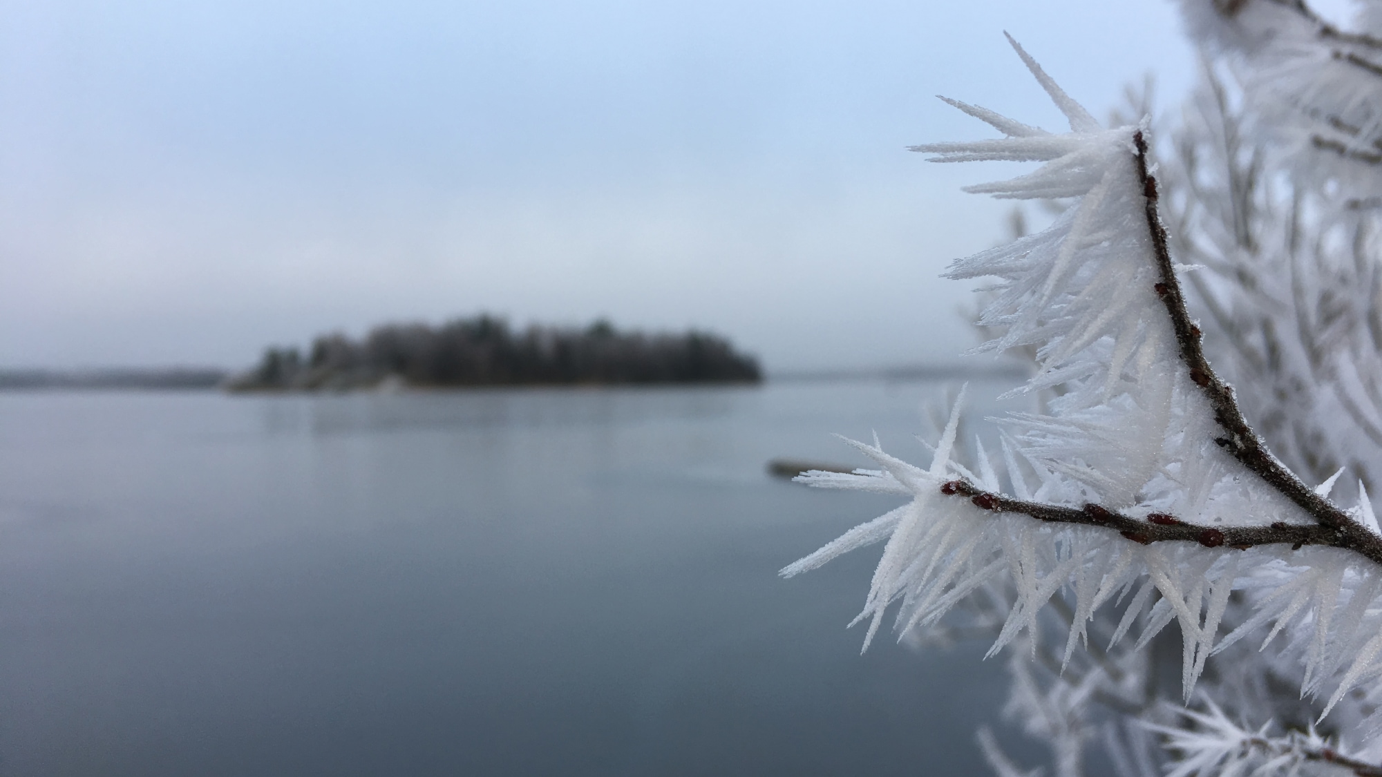 A photo taken at the lake Södra Bergundasjön in Växjö.