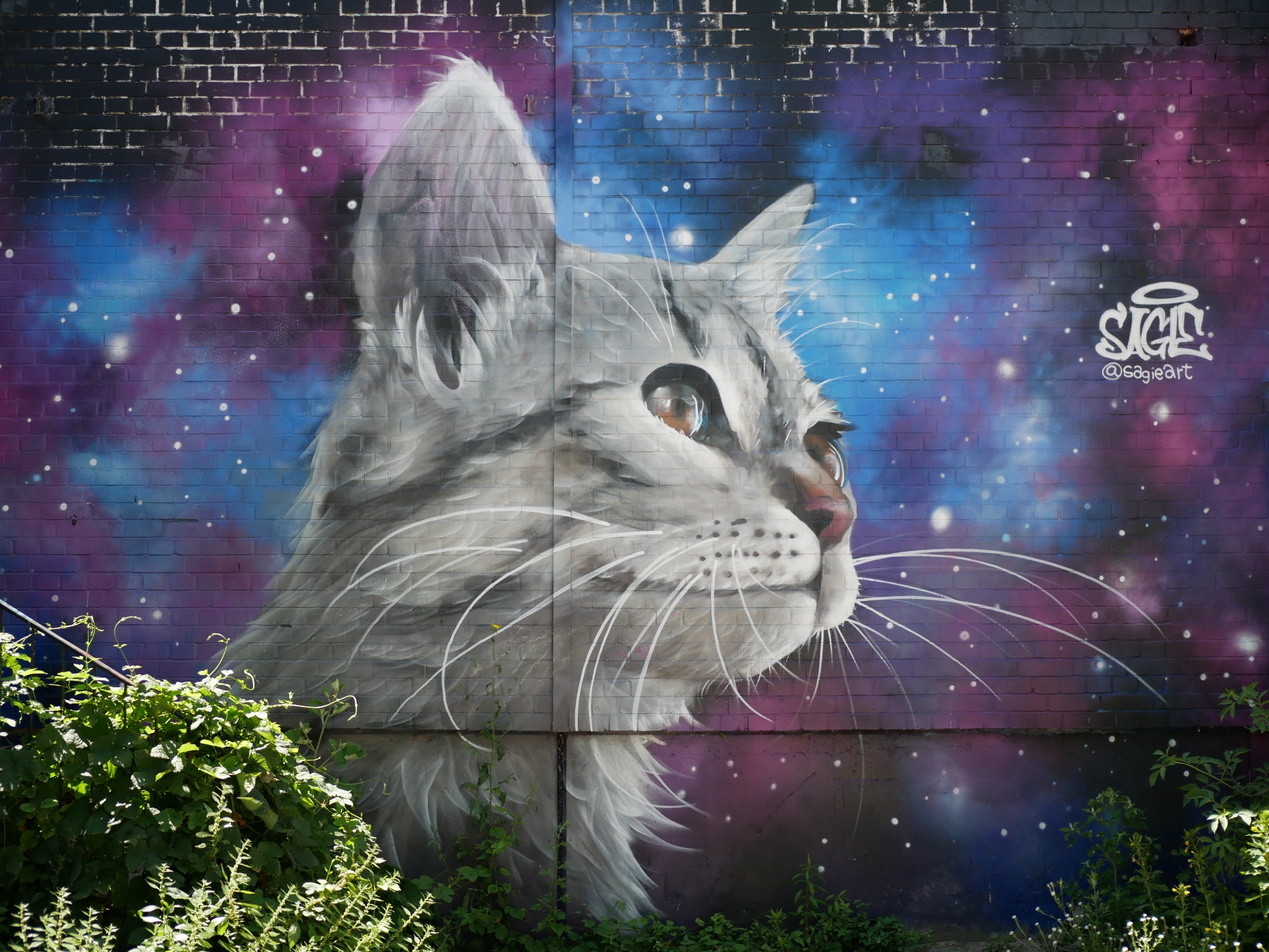 A photo taken at the Teufelsberg in Berlin.